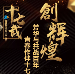 【最佳作品獎】青峰“十七歲花季”綻放歷程——青春作伴十七載，芳華與共戰(zhàn)百年